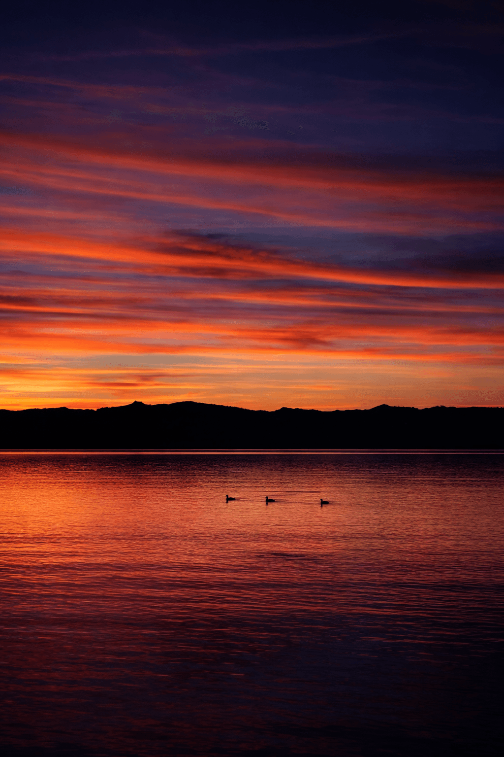 Image Enhancement Request Feb 28 2026 (13).png